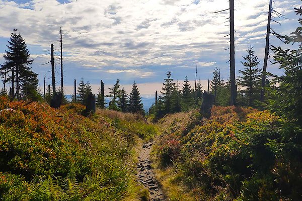 Wanderweg Wanderung durch die Natur